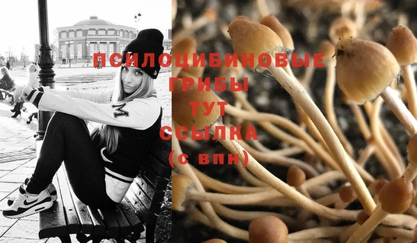 метадон Покачи